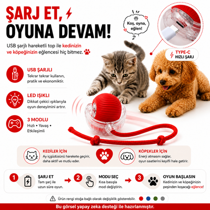 Hareketli Kedi & Köpek Topu