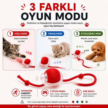 Hareketli Kedi & Köpek Topu