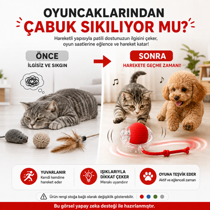 Hareketli Kedi & Köpek Topu