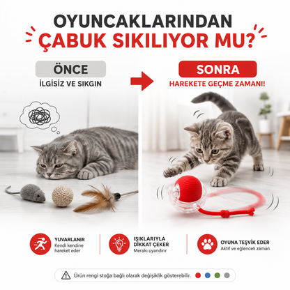 USB Şarjlı Akıllı Kedi Oyuncağı