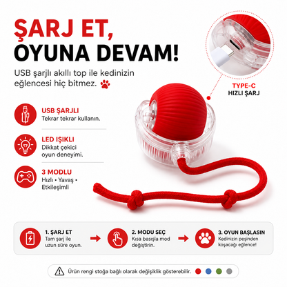 USB Şarjlı Akıllı Kedi Oyuncağı